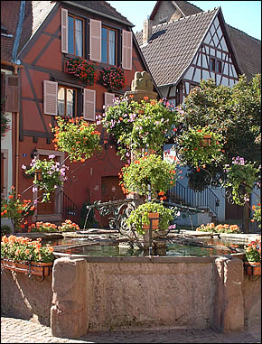 La fontaine place du marché à Bergheim