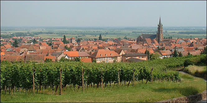 Vue de Dambach-la-Ville