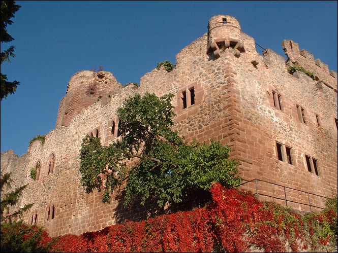 Le château de Kintzheim