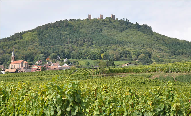 Vue des Trois Châteaux depuis les vignes
