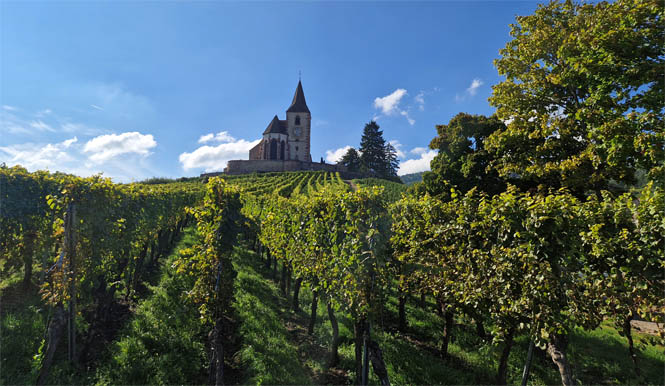 Vue sur Hunawihr et son église fortifiée